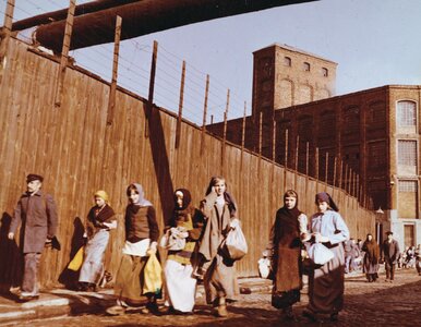 Miniatura: Jesteś miłośnikiem polskiego kina?...