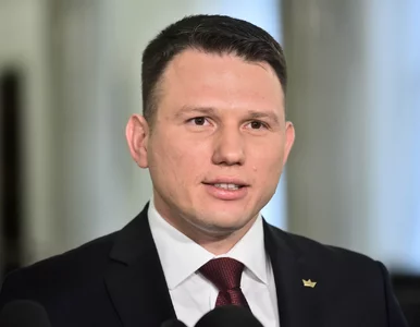 Miniatura: Bicie dziecka „kablem od żelazka”? Mentzen...