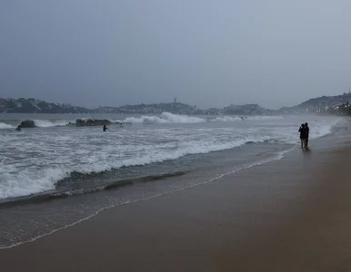 Miniatura: Dawid Podsiadło grał z nimi na Narodowym....