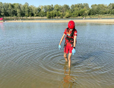 Miniatura: Makabryczne odkrycie koło Góry Kalwarii. W...