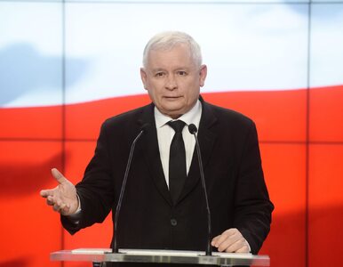 Miniatura: Jarosław Kaczyński nie wybiera się na...