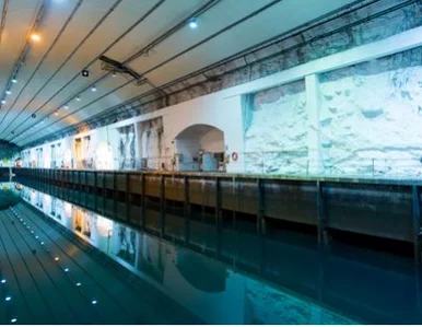 Miniatura: Samorozbrojenie po norwesku. Jak baza NATO...