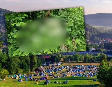 Miniatura: Nikt nie pomyślałby, że jest trująca....