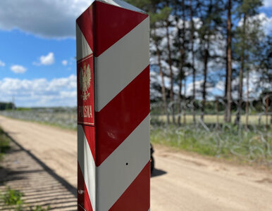 Miniatura: Migranci nie tylko na granicy z...
