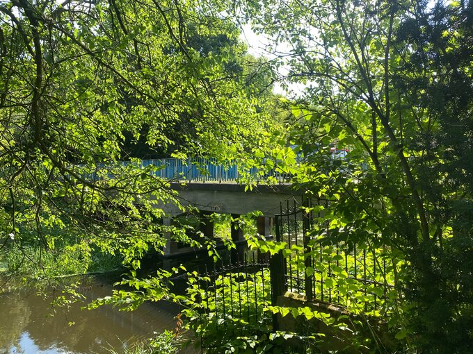 Wśród zieleni w parku, z widokiem na mostek