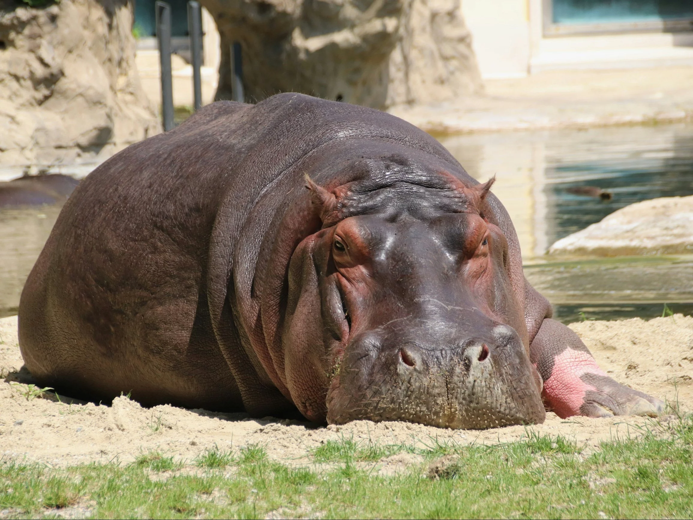 Trudny QUIZ ortograficzny. W 5. pytaniu każdy się zastanawia