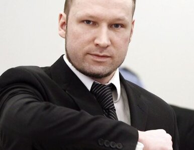 Miniatura: Breivik uczył się zabijać grając w World...