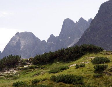 Miniatura: Tatry: Śmierć na Orlej Perci