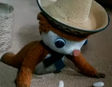 Miniatura: QUIZ z bajek. W czasach PRL każdy miałby...