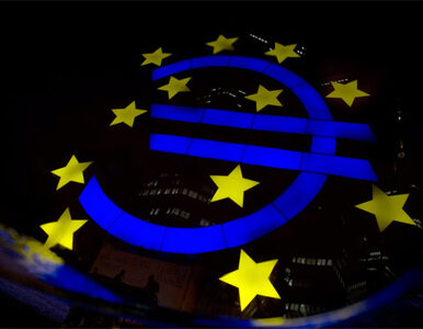 Miniatura: "Ratowanie krajów euro będzie droższe"