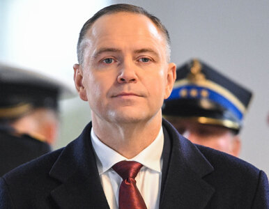 Miniatura: Węgierskie media atakują Nawrockiego. „Akt...