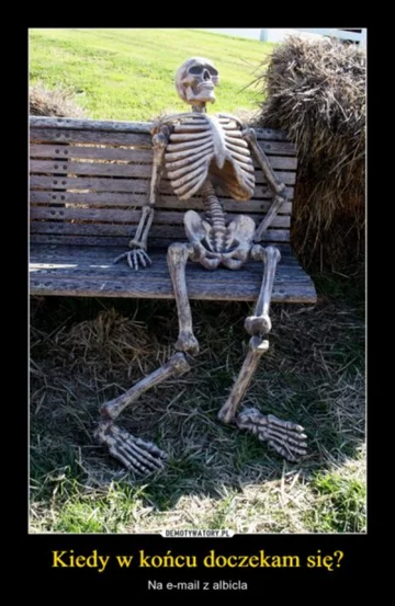 Mem podsumowujący start serwisu Albicla 