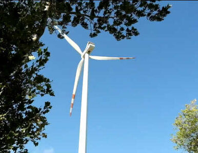 Miniatura: Czy warto rozwijać energetykę wiatrową?