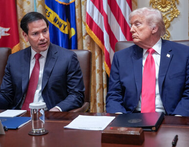 Miniatura: Sekretarz stanu USA o „sukcesie Polski”....