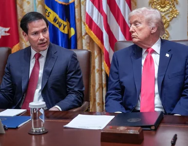 Miniatura: Sekretarz stanu USA o „sukcesie Polski”....