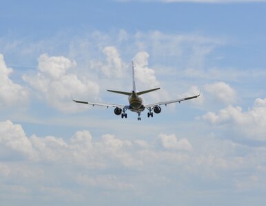 Miniatura: Litwini będą kontrolować część polskiego...