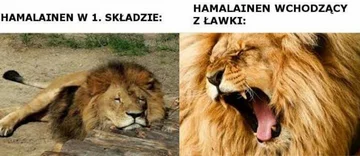 Memy po meczu Legia Warszawa - Sheriff Tyraspol 