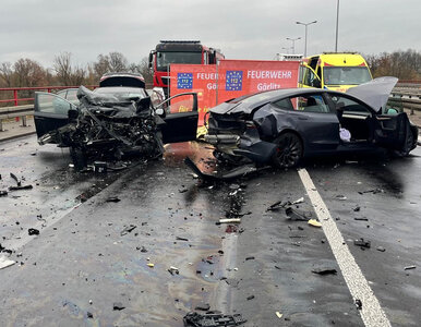 Miniatura: Tragedia przy granicy z Niemcami. Nie żyje...