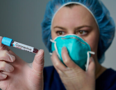 Miniatura: Ponad 500 nowych przypadków koronawirusa i...