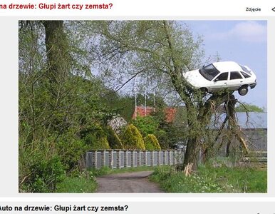Miniatura: Zawiesili samochód na drzewie. Oryginalna...
