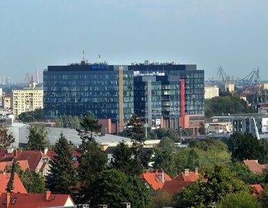 Miniatura: AMS w Gdańsku i Alchemii