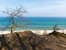 Miniatura: Rewolucyjne zmiany w L4 od kwietnia....