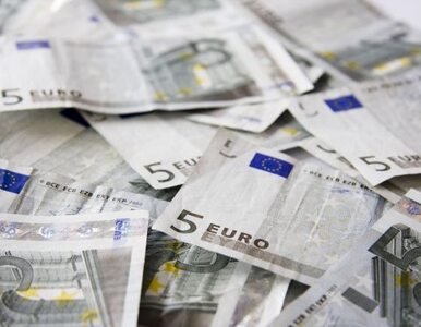 Miniatura: Niemal połowa Polaków nie chce euro nad...