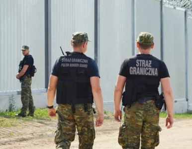 Miniatura: „Problem” z elementem bariery na granicy...