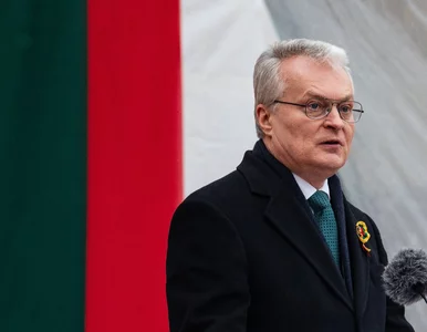 Miniatura: Doszło do wypadku. Prezydent Litwy trafił...