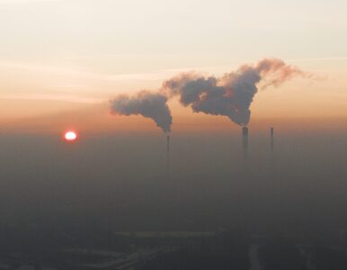 Jak szkodzi smog? Choroby, które wywołuje zanieczyszczone powietrze