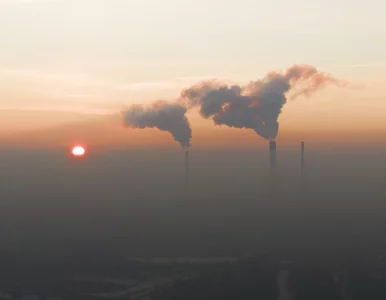 Miniatura: Jak szkodzi smog? Choroby, które wywołuje...