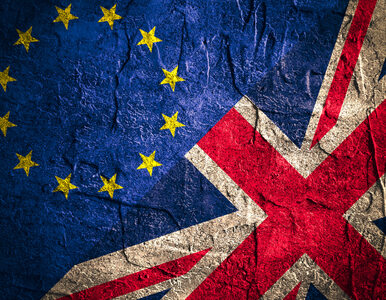 Miniatura: Sondaż: Kraje UE nie popierają Brexitu