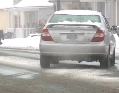Miniatura: Chihuahua sprawcą stłuczki. Pies siedział...