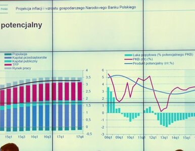 Miniatura: Korzystne prognozy rozwoju polskiej...