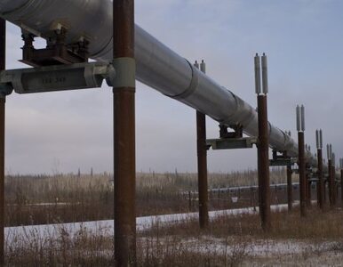 Miniatura: "Gazprom" kolejną ofiarą mrozów w Europie