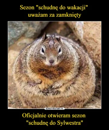 Minęła połowa wakacji. Internauci publikują memy 