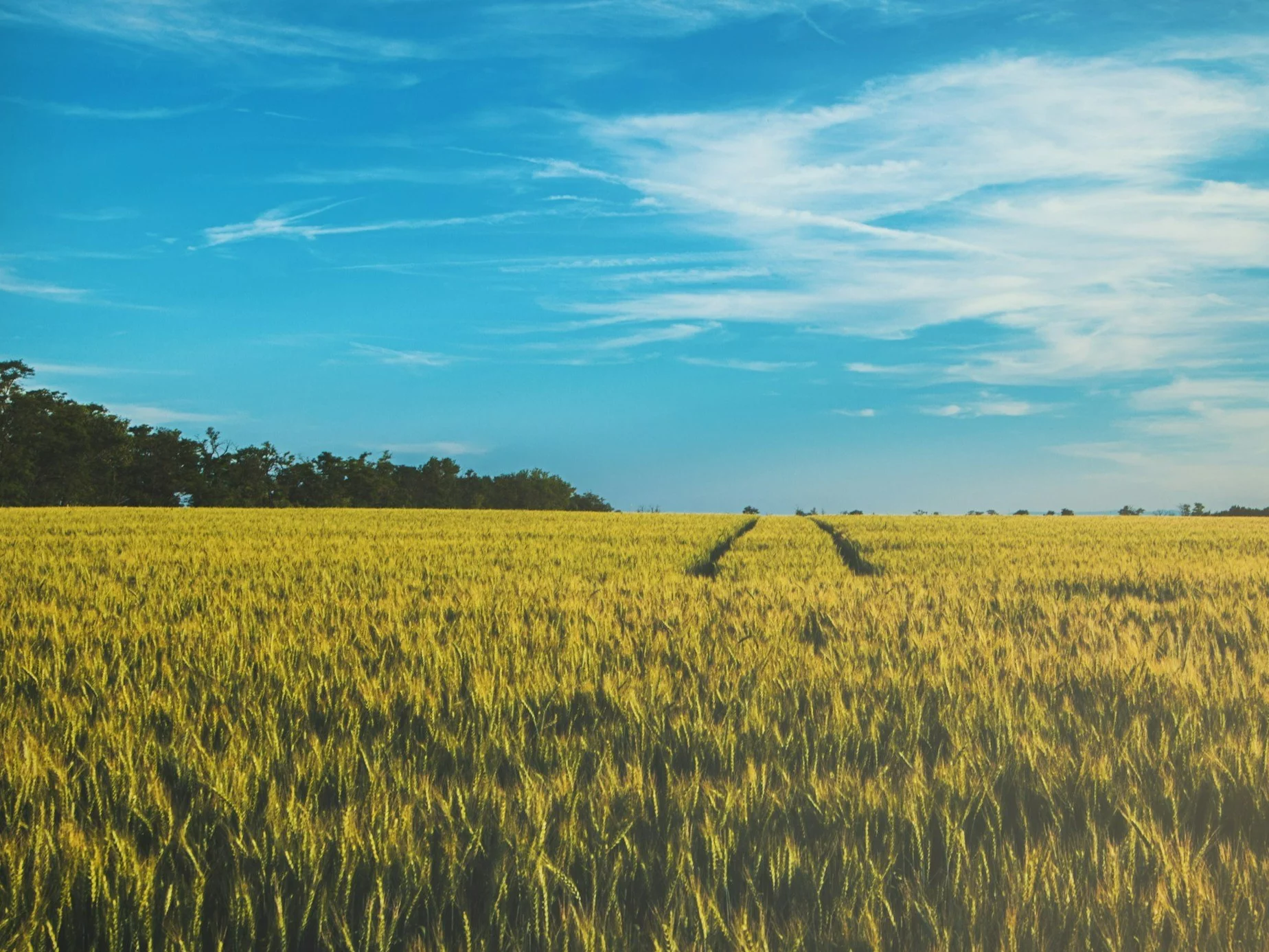 10 haseł rodem z krzyżówki. Odgadniesz wszystkie?