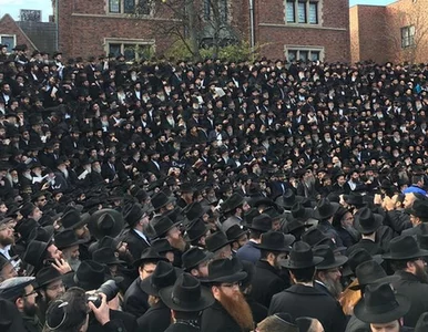 Miniatura: Najbardziej widowiskowy...