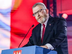 Miniatura: Partia Brauna chce stworzyć „rejestr...