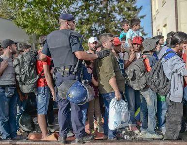 Miniatura: Belgia: Uchodźcy dostaną identyfikatory