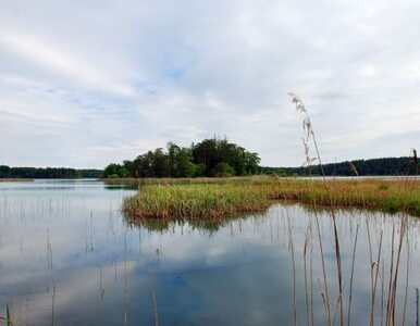 Miniatura: Szwecja: Z jeziora wydobyto ciała...