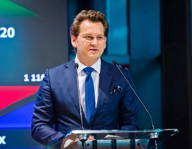 Miniatura: Michał M. Lisiecki został prezesem PMPG...