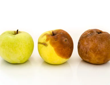 Miniatura: Klienci gorszego sortu: czym zagraniczne...