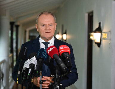 Miniatura: Tusk rozmawiał z Zełenskim o UPA. Ujawnił...