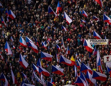 Miniatura: Tysiące osób w stolicy Czech. Nie chcą...