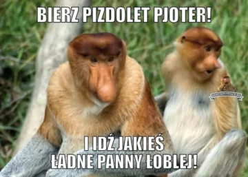 Memy na Lany Poniedziałek 