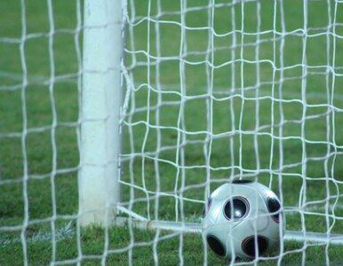 Miniatura: FIFA: Goal-Line Technology już w Brazylii...