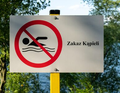 Miniatura: Śmierdzący incydent na polskim kąpielisku....