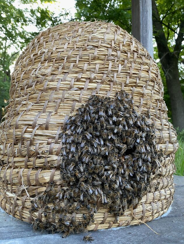 Słomiany ul z pszczołami 