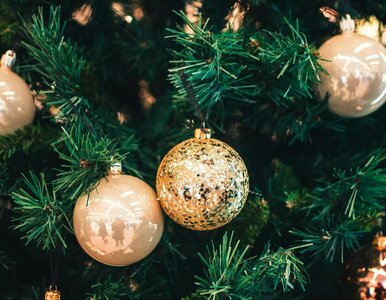 Miniatura: Świąteczny QUIZ językowy. Wymagamy...